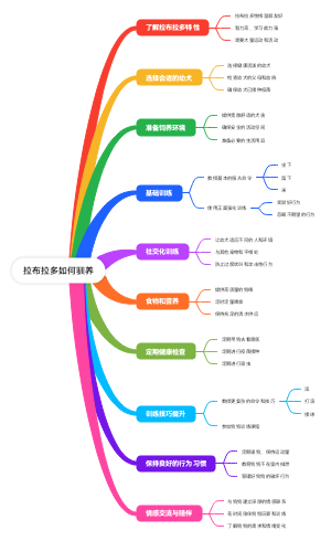 拉布拉多如何驯养