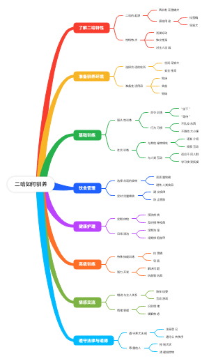 二哈如何驯养
