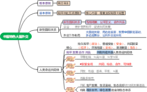 中国特色大国外交，人类命运共同体，常识，公基