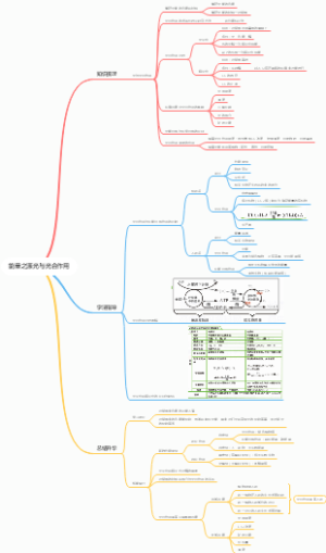 高中生物 细胞的能量供应和利用--能量之源光与光合作用