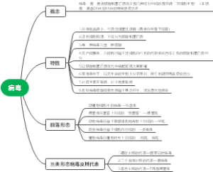 病毒