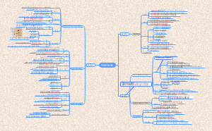 我国的政治和经济制度