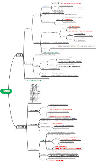 關於上皮組織的思維導圖,包括上皮組織的組成,特徵,分佈,功能,上皮