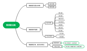 骨折的分类