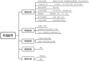 风险应对措施