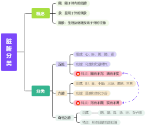 藏象学说