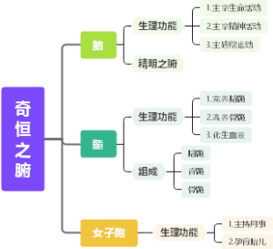 奇恒之腑