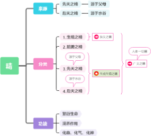 精气血津液神