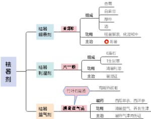 中医执业助理医师考试《方剂学》6、祛暑剂