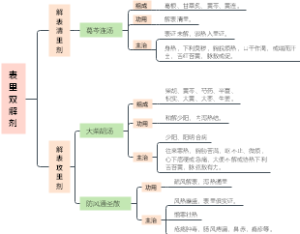 中医执业助理医师考试《方剂学》8、表里双解剂