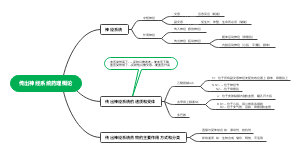传出神经系统的药理概论
