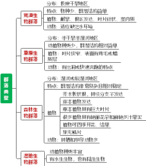 群落类型