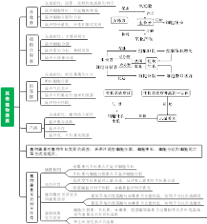 其他植物激素
