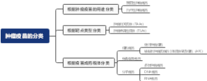 肿瘤疫苗的分类