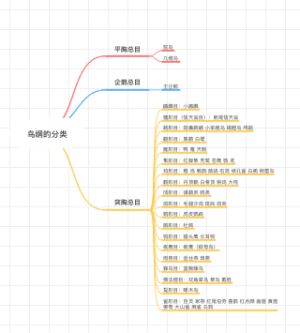 鸟纲的分类