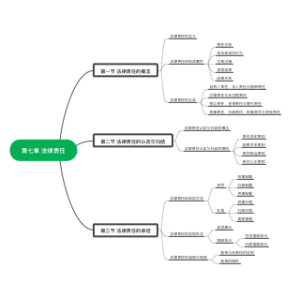 法理学第七章法律责任
