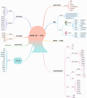 科学第二单元——生物