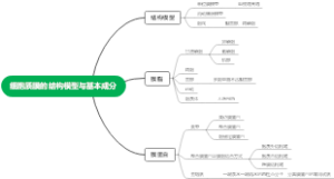 细胞质膜的结构模型与基本成分