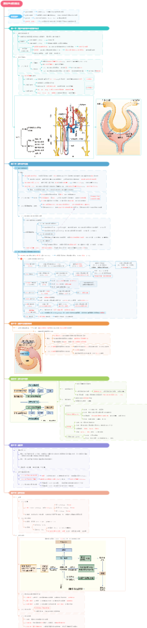 专升本生理学-8尿的生成与排出