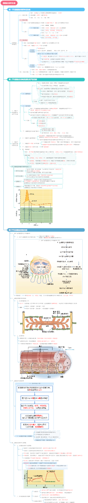 专升本生理学-2细胞的基本功能