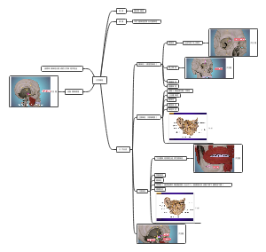 关于三叉神经的那些事儿