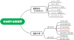 商业银行金融监管