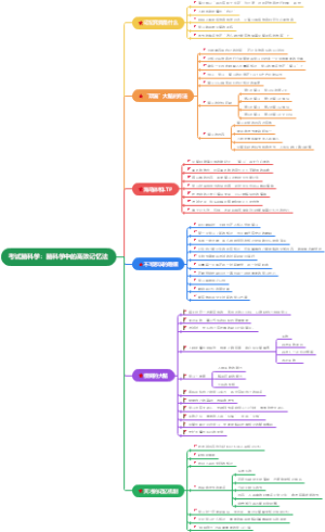 考试脑科学：脑科学中的高效记忆法