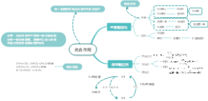 初中生物光合作用思维导图