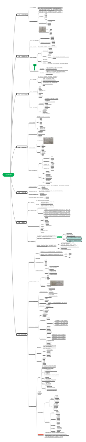 人力资源管理复习