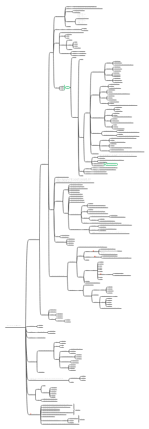 解剖第九章神经系统