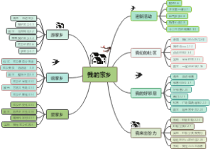 我的家乡
