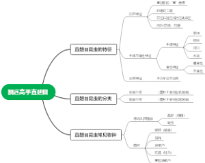 跳远高手直翅目