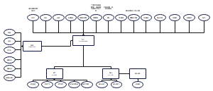 组织结构ER图