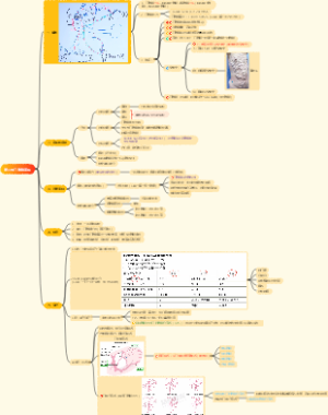 第二节门静脉高压