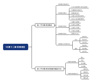 12.第十二章 刑事责任