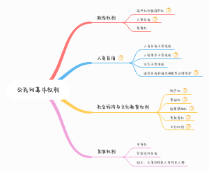 八年级下册政治-公民的基本权利