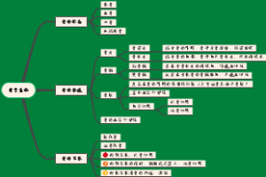 骨学总论