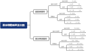 草坪修剪