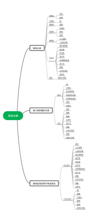 昆虫分类
