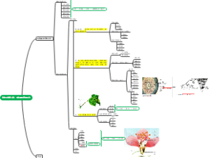初中生物第二章：生物体的结构层次