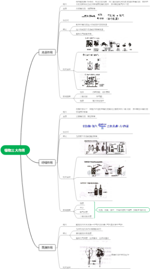 植物三大作用