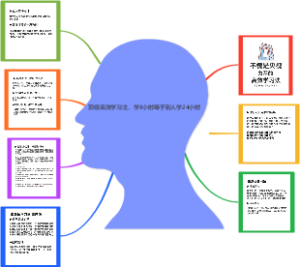 顶级高效学习法，学8小时等于别人学24小时