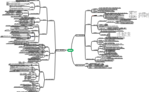 第二章 战略分析