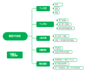 直男的新初中目标思维导图