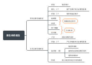 七下浙教版科学第一章第一节新生命的诞生