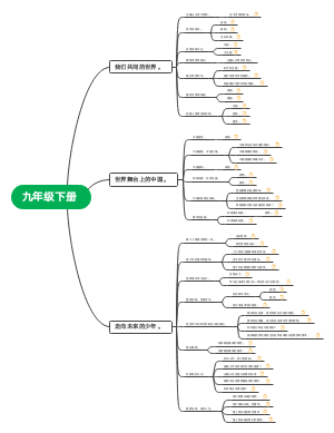 初中政治。九年级下册