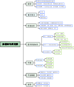 青语树午间流程