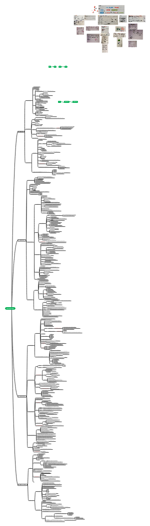 高一生物必修一知识点总结