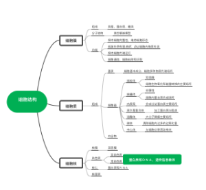 细胞结构