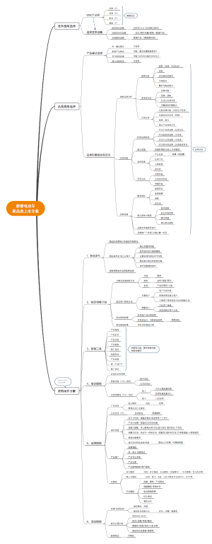 2022年新蕾电动车新品类思维脑图